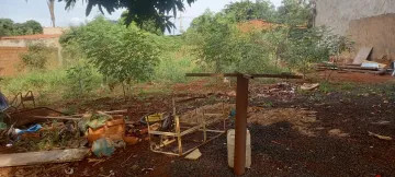 imagem 3 - Terreno à Venda imagem 3 - Terreno à Venda
