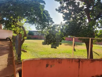 imagem 4 - Apartamento à venda no bairro Martins. imagem 4 - Apartamento à venda no bairro Martins.