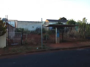 imagem 2 - Terreno à venda no bairro Laranjeiras. imagem 2 - Terreno à venda no bairro Laranjeiras.