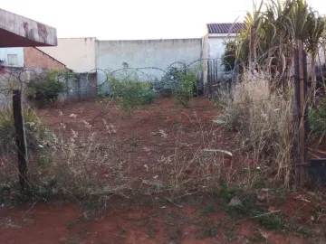 imagem 3 - Terreno à venda no bairro Laranjeiras. imagem 3 - Terreno à venda no bairro Laranjeiras.
