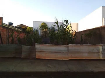 imagem 1 - Terreno à Venda imagem 1 - Terreno à Venda