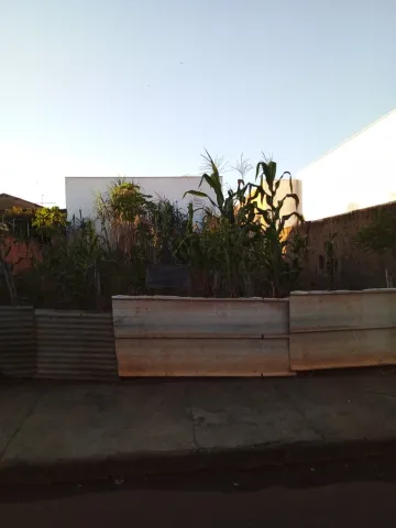 imagem 3 - Terreno à Venda imagem 3 - Terreno à Venda