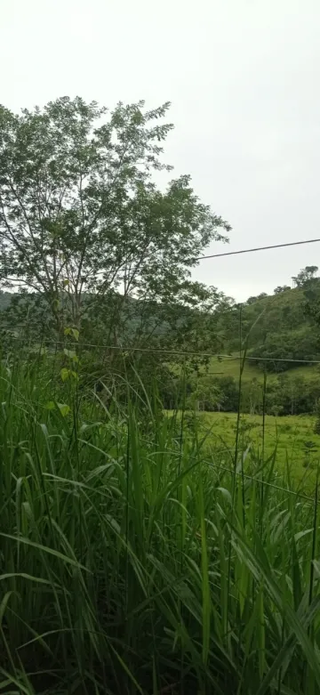 Alugar Rural / Sítio em Indianópolis. apenas R$ 1.100.000,00