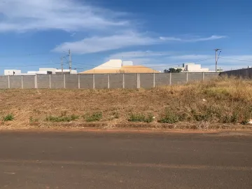 imagem 1 - Lotes à venda no bairro Novo Mundo. imagem 1 - Lotes à venda no bairro Novo Mundo.