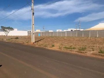imagem 2 - Lotes à venda no bairro Novo Mundo. imagem 2 - Lotes à venda no bairro Novo Mundo.