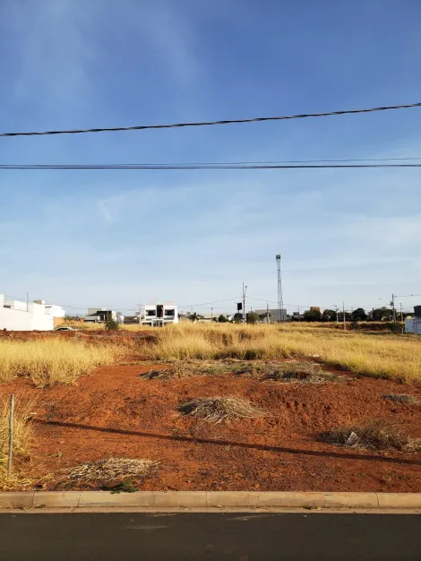 Terreno à venda no bairro Aclimação.