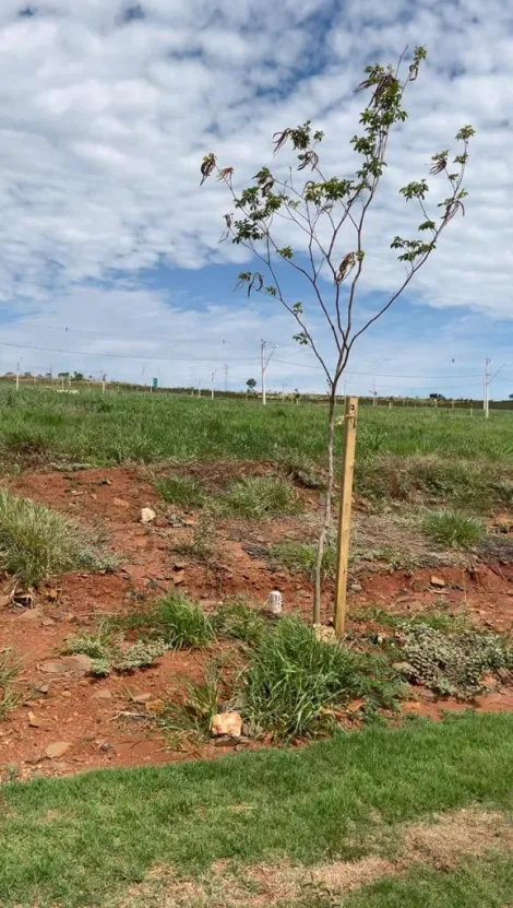 Terreno à venda em Condomínio Terras Alpha.