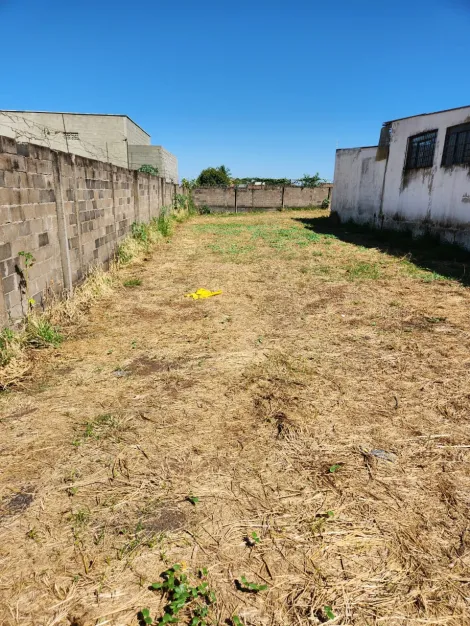 Terreno à venda no bairro Pampulha.