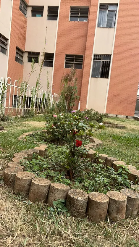 imagem 2 - Apartamento - Padrão imagem 2 - Apartamento - Padrão