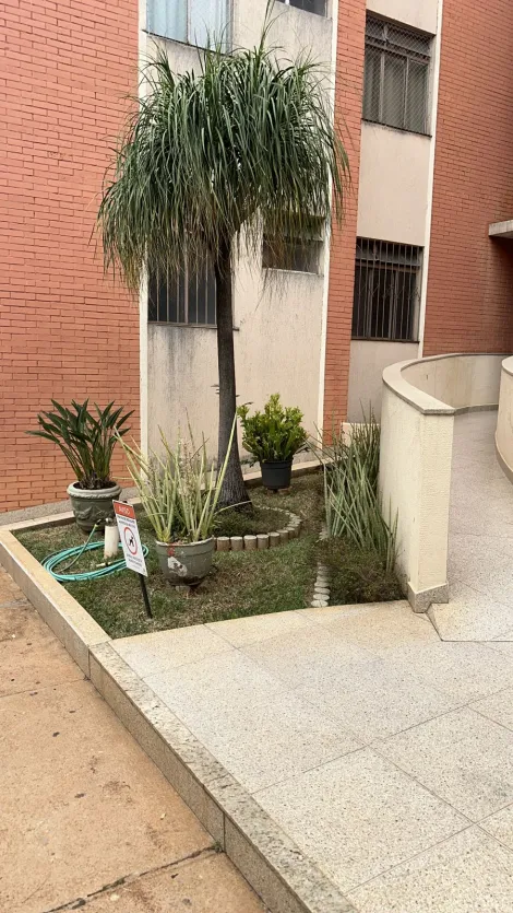 imagem 3 - Apartamento - Padrão imagem 3 - Apartamento - Padrão