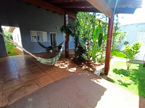 Alugar Casa / Padrão em Uberlândia. apenas R$ 350.000,00