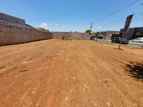 imagem 2 - Área comercial para locação no bairro Pampulha imagem 2 - Área comercial para locação no bairro Pampulha