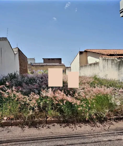 Terreno à venda no bairro Segismundo Pereira.