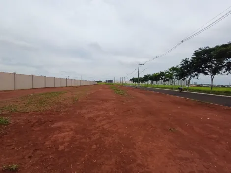 Terreno Comerciais à venda no bairro Grand Ville.