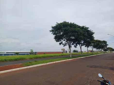 Alugar Terreno / Padrão em Uberlândia. apenas R$ 346.500,00