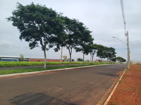 Terreno à venda no bairro Grand Ville.