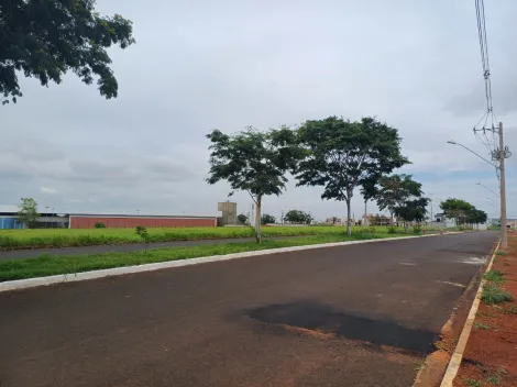 Alugar Terreno / Padrão em Uberlândia. apenas R$ 346.500,00