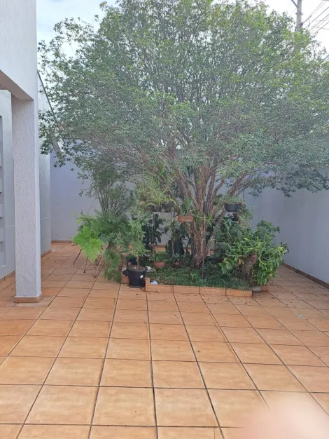 imagem 2 - Casa à venda no bairro Vigilato Pereira. imagem 2 - Casa à venda no bairro Vigilato Pereira.