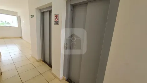 imagem 2 - Apartamento à venda no bairro Jardim Celia. imagem 2 - Apartamento à venda no bairro Jardim Celia.