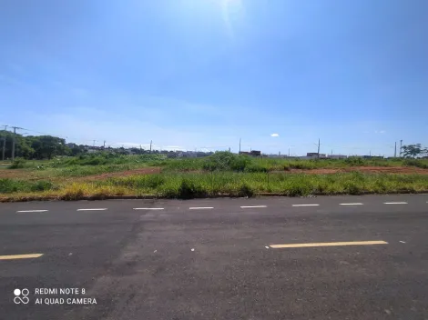 imagem 1 - Terreno à venda no bairro Verde Umuarama. imagem 1 - Terreno à venda no bairro Verde Umuarama.