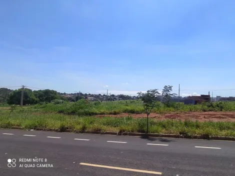 imagem 4 - Terreno à venda no bairro Verde Umuarama. imagem 4 - Terreno à venda no bairro Verde Umuarama.
