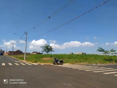 imagem 1 - Terreno à venda no bairro Verde Umuarama. imagem 1 - Terreno à venda no bairro Verde Umuarama.