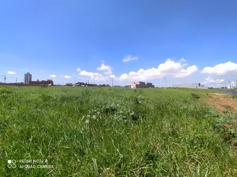 Terreno à venda no bairro Verde Umuarama.