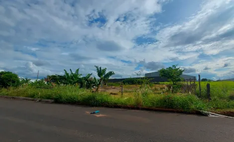 imagem 2 - Terreno para venda no bairro Jardim América. imagem 2 - Terreno para venda no bairro Jardim América.