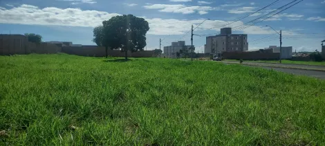 imagem 1 - Terreno para venda no bairro Shopping Park. imagem 1 - Terreno para venda no bairro Shopping Park.