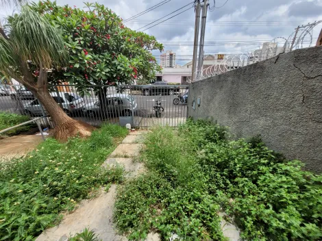 imagem 4 - Casa para locação no bairro Centro imagem 4 - Casa para locação no bairro Centro