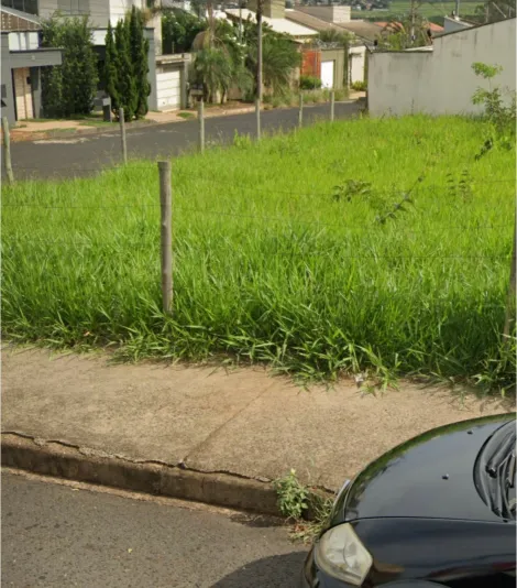 Terrenos à venda no bairro Santa Mônica.