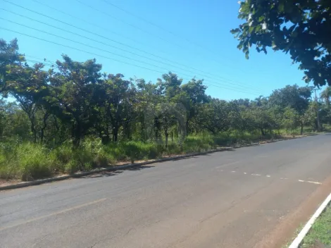 Uberlandia Panorama Rural Venda R$4.000.000,00  Area do terreno 10000.00m2 