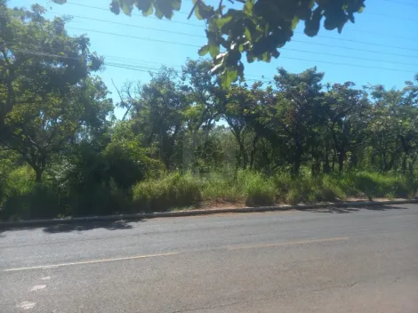 imagem 2 - Chácara para venda no bairro Panomama imagem 2 - Chácara para venda no bairro Panomama