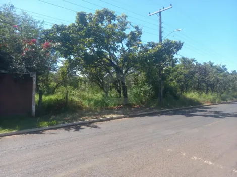 imagem 3 - Chácara para venda no bairro Panomama imagem 3 - Chácara para venda no bairro Panomama