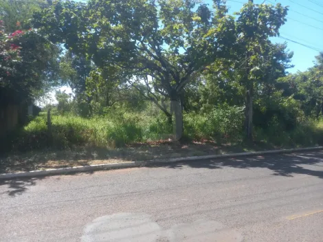 imagem 4 - Chácara para venda no bairro Panomama imagem 4 - Chácara para venda no bairro Panomama