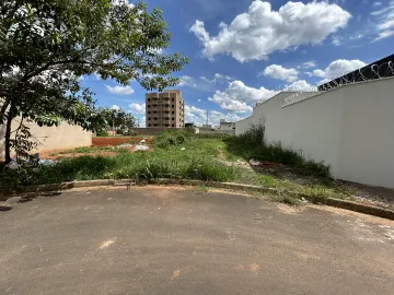 Terreno Para Venda  Bairro Novo Mundo/B. Bem Viver Em Uberlândia.