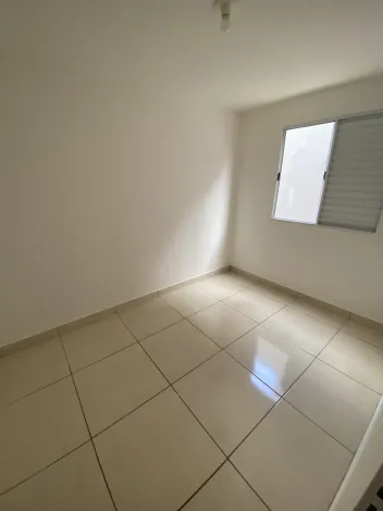 Apartamento Térreo à venda bairro Morumbi.