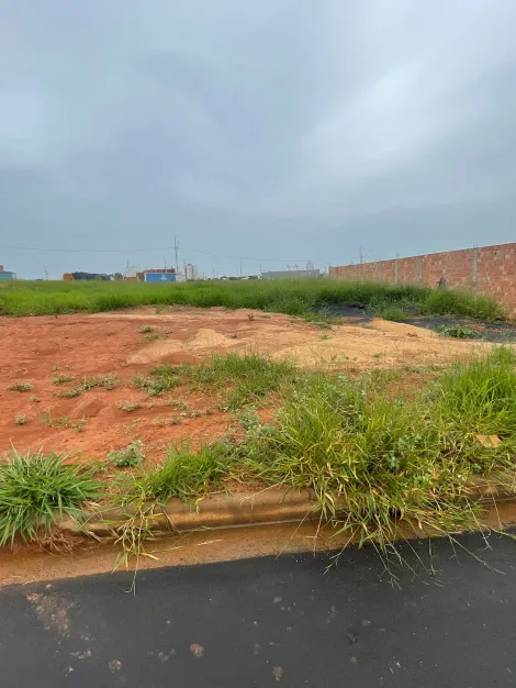imagem 4 - Terreno para venda no Loteamento Verde Umuarama imagem 4 - Terreno para venda no Loteamento Verde Umuarama