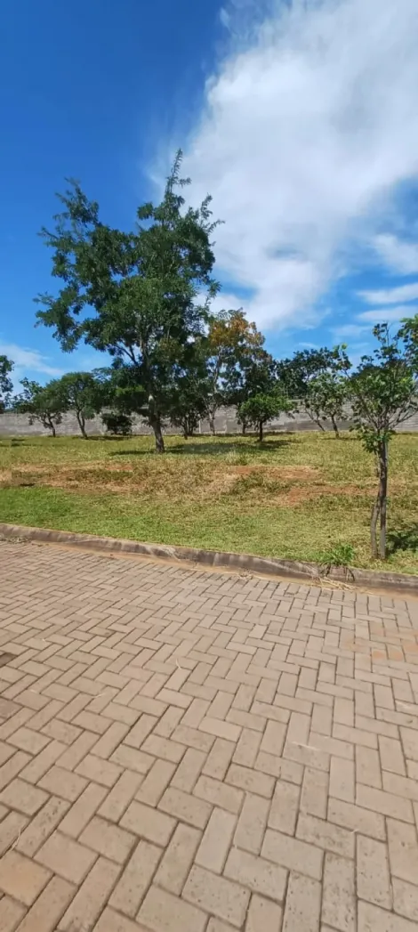 Terreno para venda no bairro Laranjeiras.