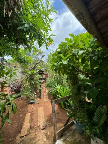imagem 3 - Imóvel Comercial de Esquina na Avenida Brasil em Araguari imagem 3 - Imóvel Comercial de Esquina na Avenida Brasil em Araguari