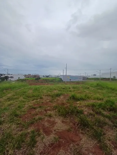 imagem 4 - Excelente terreno para venda no bairro Quinta Alto Umuarama. imagem 4 - Excelente terreno para venda no bairro Quinta Alto Umuarama.
