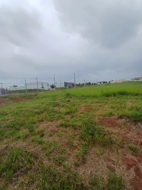 imagem 5 - Excelente terreno para venda no bairro Quinta Alto Umuarama. imagem 5 - Excelente terreno para venda no bairro Quinta Alto Umuarama.