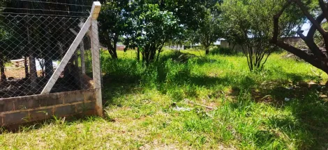 imagem 1 - Chácara para venda no município de Uberlandia imagem 1 - Chácara para venda no município de Uberlandia
