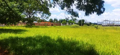 imagem 3 - Chácara para venda no município de Uberlandia imagem 3 - Chácara para venda no município de Uberlandia