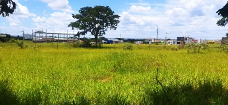 imagem 4 - Chácara para venda no município de Uberlandia imagem 4 - Chácara para venda no município de Uberlandia