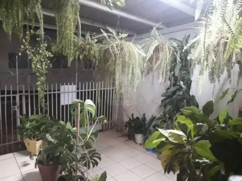 Casa para Venda no Centro