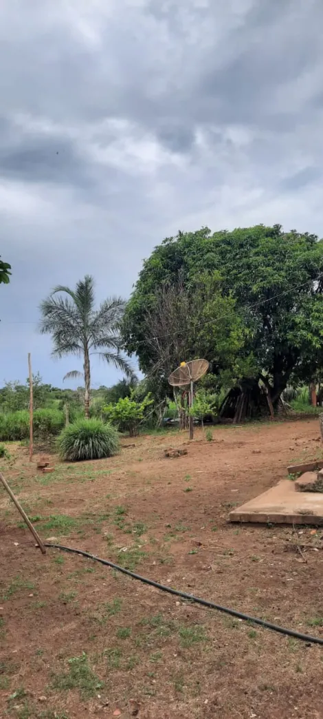 imagem 3 - Chácara para venda em Uberlândia/MG - na BR365 sentido Monte Alegre imagem 3 - Chácara para venda em Uberlândia/MG - na BR365 sentido Monte Alegre