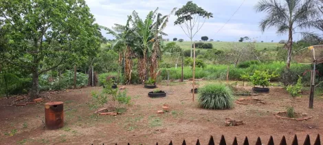 imagem 4 - Chácara para venda em Uberlândia/MG - na BR365 sentido Monte Alegre imagem 4 - Chácara para venda em Uberlândia/MG - na BR365 sentido Monte Alegre