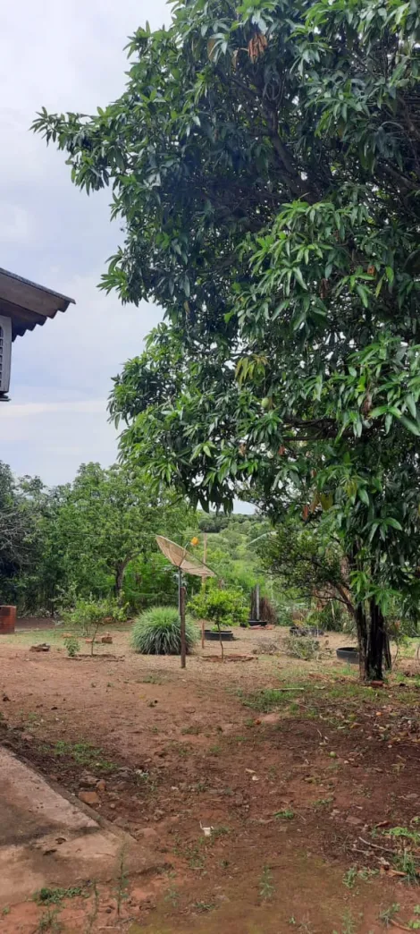 imagem 5 - Chácara para venda em Uberlândia/MG - na BR365 sentido Monte Alegre imagem 5 - Chácara para venda em Uberlândia/MG - na BR365 sentido Monte Alegre