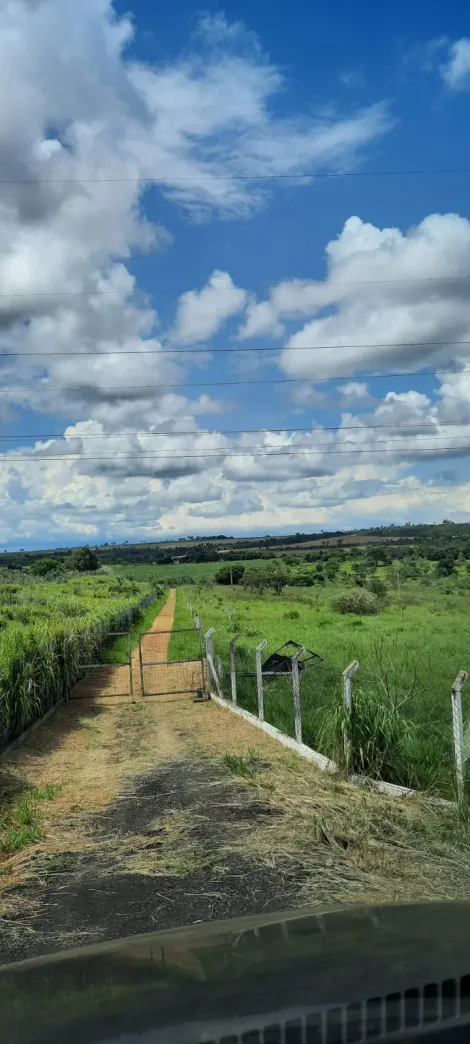 Chácara para venda em Uberlândia/MG - na BR365 sentido Monte Alegre